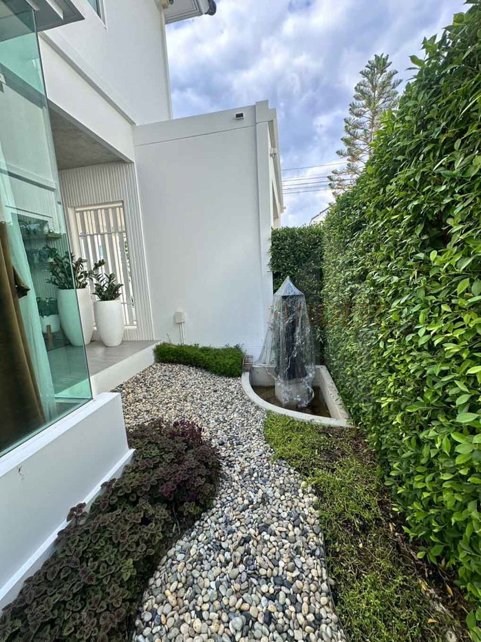 picture Chaiyapruk Bangna km15 3 bedrooms, for rent - 11/38