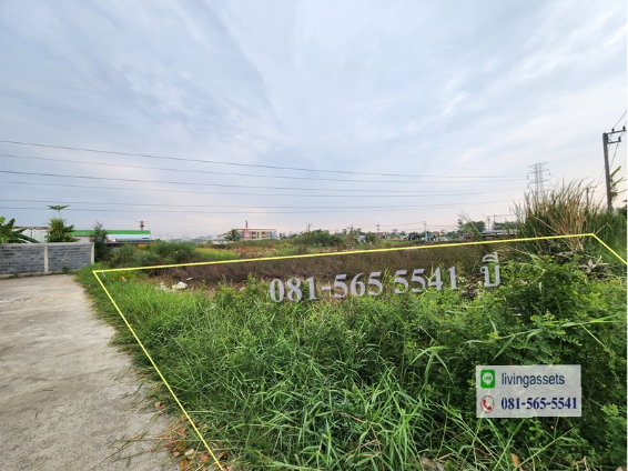 รูป ขายที่ดินลำลูกกา 200 ตารางวา ซอยสุสวาท6 ย่านชุมชน ติดถนนคอนกรีต ลาดสวาย ปทุมธานี - รูปที่ 2/6