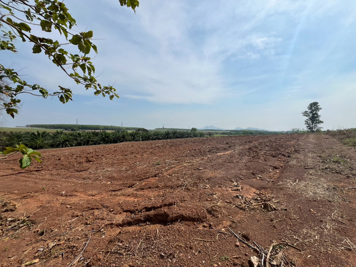 รูป [ขาย] ที่ดิน 38 ไร่เศษ ในนิคมโรจนะ หนองใหญ่ - รูปที่ 4/6