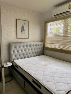Plum Park Rangsit for rent ✨ Fully furnished
