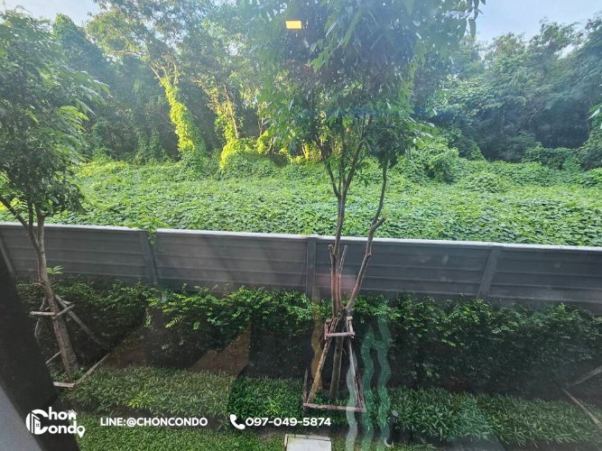 รูป DCondo Sense ชั้น2 ตึกA ------------ห้องใหม่ + ตกแต่งสวย------------Tel 097-049-5874 (Line: @choncondo มี@ด้วย) - รูปที่ 12/17