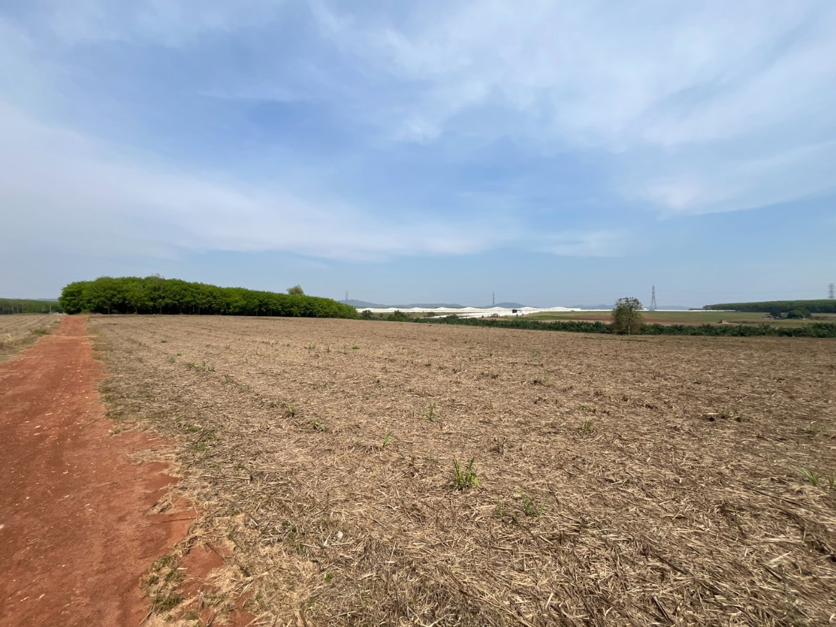 รูป [ขาย] ที่ดิน 38 ไร่เศษ ในนิคมโรจนะ หนองใหญ่ - รูปที่ 5/6