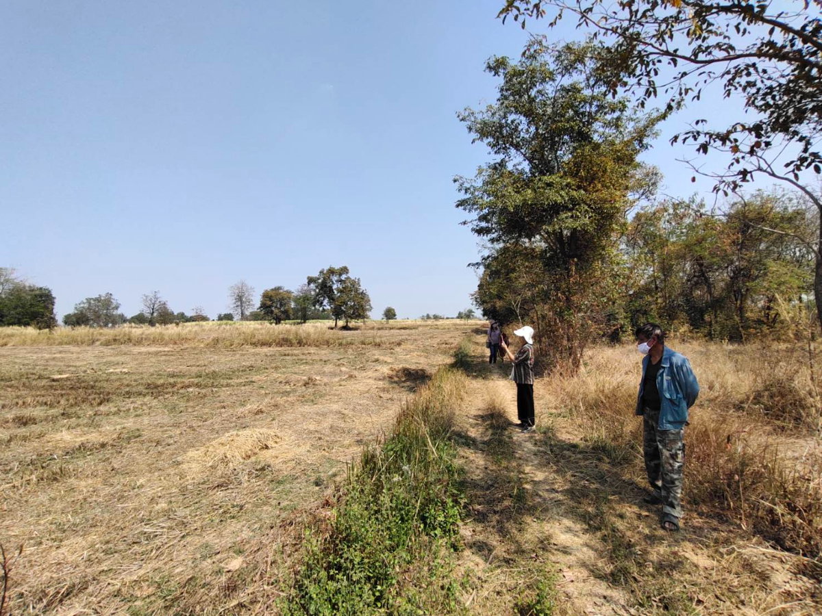 รูป ขายที่ดิน 6 ไร่ โคราช ซื้อตอนนี้ลดให้อีก ..ขายด่วน - รูปที่ 4/7