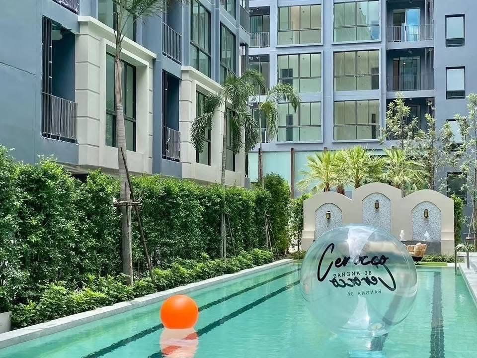 รูป 🏢 [ปล่อยเช่า] Cerocco Bangna 36 (ซีร็อคโค่ บางนา 36) - รูปที่ 16/20