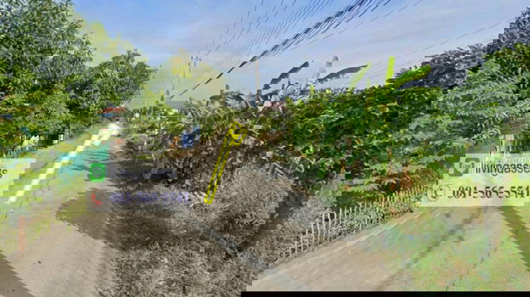 รูป ขายที่ดินลำลูกกา 200 ตารางวา ซอยสุสวาท6 ย่านชุมชน ติดถนนคอนกรีต ลาดสวาย ปทุมธานี - รูปที่ 5/6