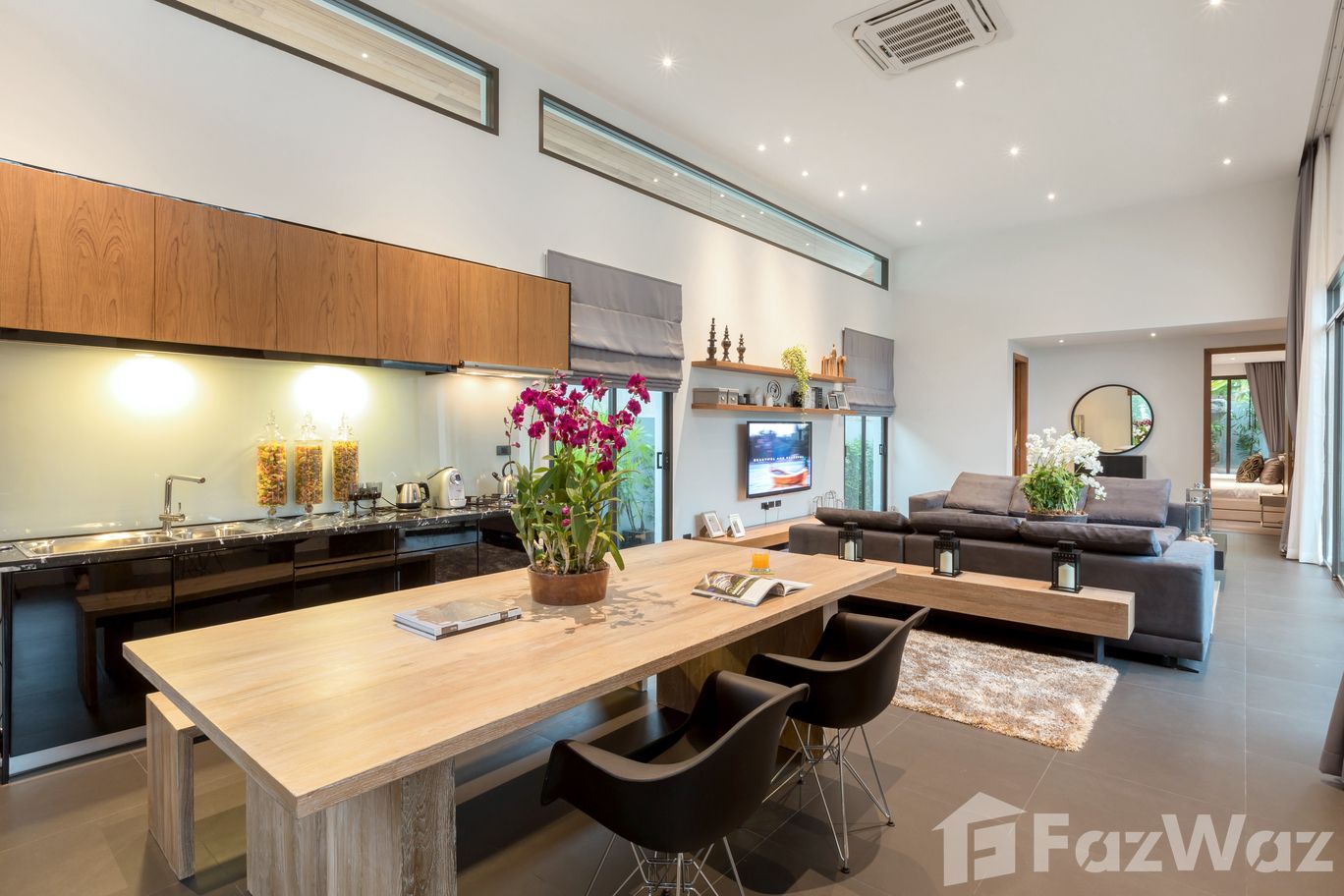 picture Coco Kamala 23137 - 4/9