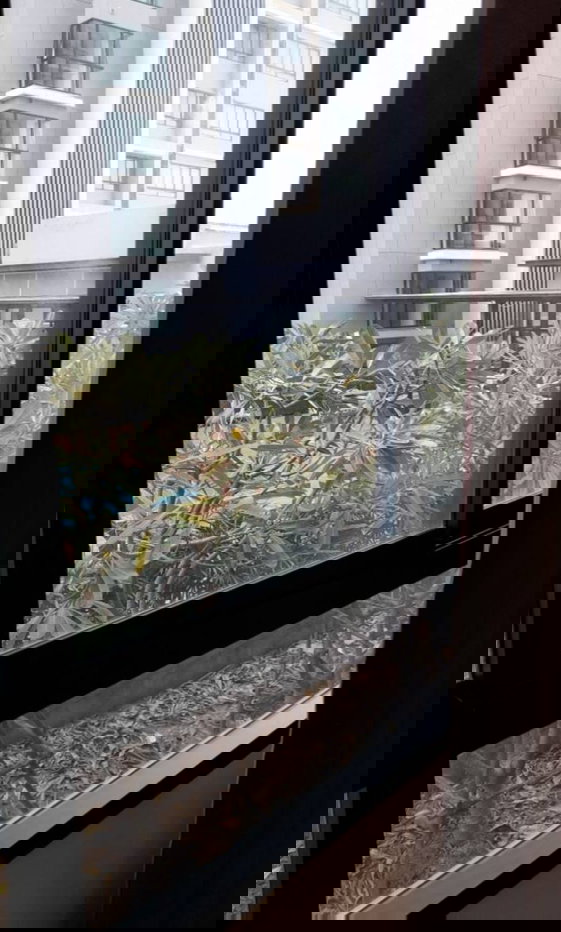 รูป 🔥 วิวสระ ห้องสวย ราคาดีเกินคุ้ม รีบทักด่วน ‼️ ให้เช่า J Condo สาทร – ราชพฤกษ์ คอนโดทำเลดี เดินทางสะดวก ห้องสวย วิวสระ บรรยากาศดี เฟอร์นิเจอร์  - รูปที่ 5/7