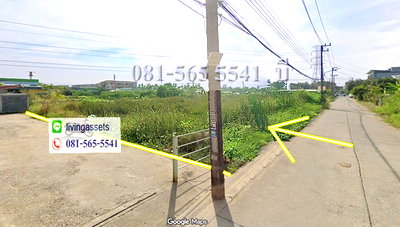 ที่ดิน วิทยาลัยการปกครอง : ขายที่ดินลำลูกกา 200 ตารางวา ซอยสุสวาท6 ย่านชุมชน ติดถนนคอนกรีต ลาดสวาย ปทุมธานี