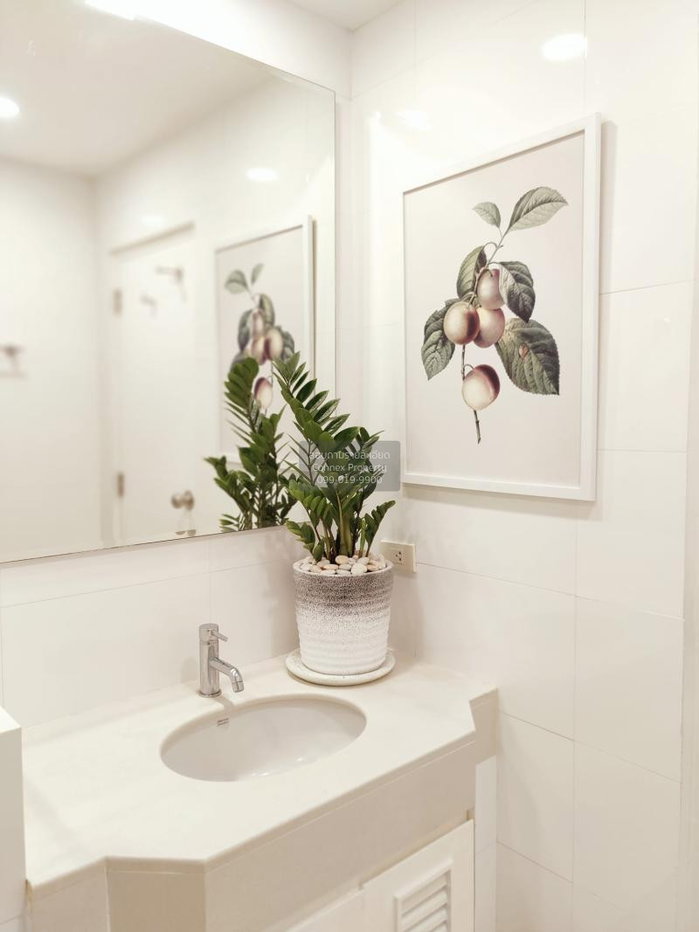 รูป เช่าคอนโด บ้านสิริ ทเวนตี้ โฟร์ BTS-พร้อมพงษ์ คลองตัน เขต คลองเตย กรุงเทพ CX-79185 ✅ ทักไลน์ @connexproperty ตอบทันที ทีมงานมืออาชีพ ✅ - รูปที่ 1/12