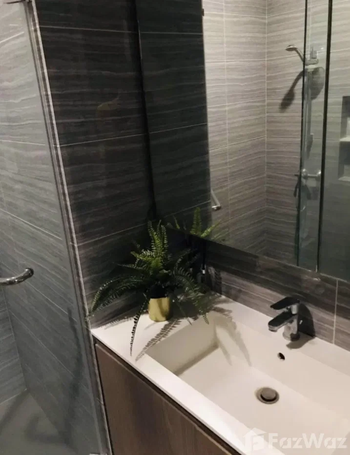 picture M Jatujak 6177098 - 9/9