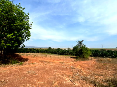 ที่ดิน ชลบุรี : [ขาย] ที่ดิน 38 ไร่เศษ ในนิคมโรจนะ หนองใหญ่