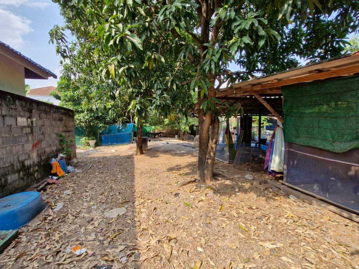 รูป ที่ดินเปล่า ทำเลดี 117 ตร.ว. รามอินทรา 27 แยก 5 เขตบางเขน  ด้านหน้าติดถนนคอนกรีต ด้านหลังติดคลอง เหมาะสร้างบ้านหรือทำออฟฟิศย่อมๆ - รูปที่ 9/17