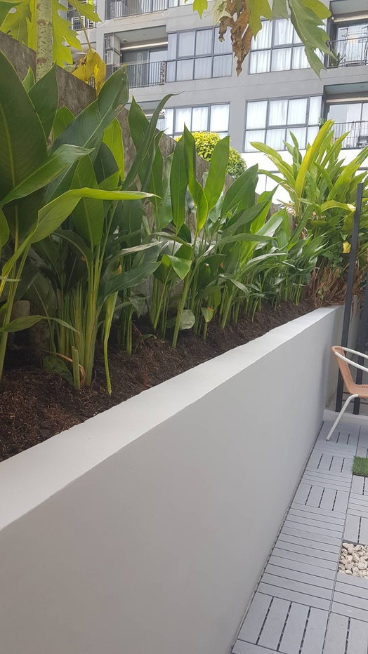 รูป [VR0256]🔥 14,000/เดือน | The Green 3 สุขุมวิท 101 ห้องใหญ่พิเศษ 40 ตร.ม. ตกแต่งใหม่ พร้อมระเบียงกว้างมาก! 🔥 - รูปที่ 14/14