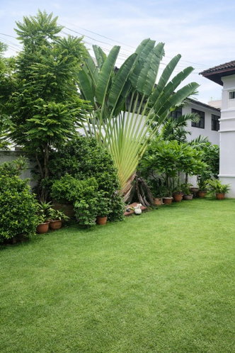 รูป ปล่อยเช่าขาดทุน40%4 น้ำ โรงแรมโนโวเทล กรุงเทพ สุขุมวิท4 70 ตร.ว. ถูกกว่าโรงแรม คฤหาสน์หรู 2 ชั้น รีโนเวทใหม่ 4นอน ใกล้BTSนานา 300 ม. - รูปที่ 3/8