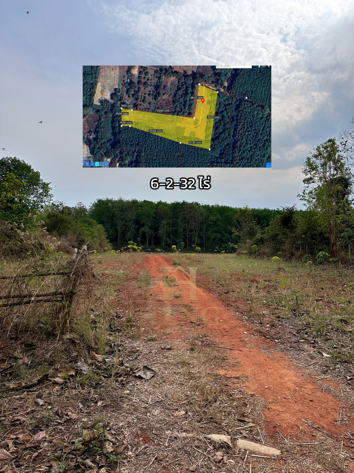 รูป ขายที่ดินสวนยางพารา อำเภอพาน จังหวัดเชียงราย พร้อมทำประโยชน์ต่อได้ทันที - รูปที่ 14/17