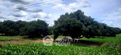 Land for sale Phrao Chiang Mai : 15,548 m² Land for Sale in Mae Waen (ID 2790304)