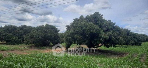 ขายที่ดิน 3,887 ตร.ม. แม่ว่าน พร้าว เชียงใหม่ (ID 2790304)