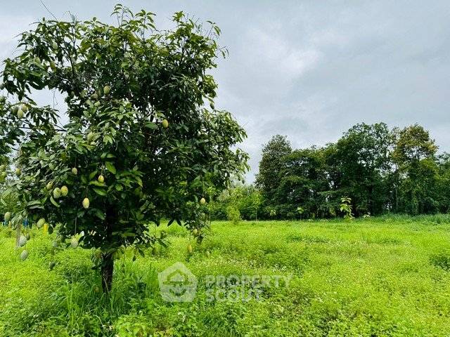 picture Land For Sale 1,740 Sqm Doi Lo, Chiang Mai (ID 2790277) - 3/4