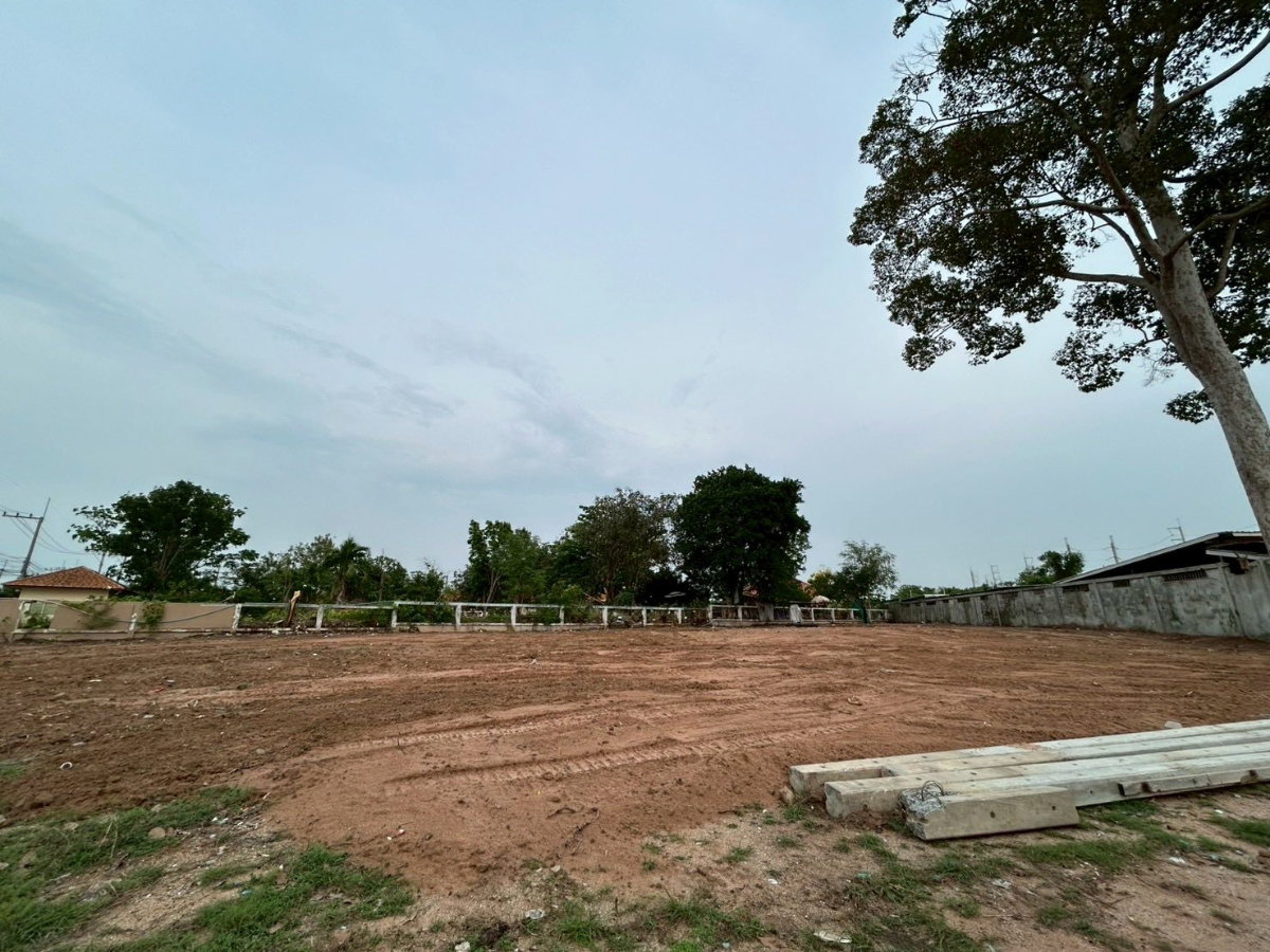 รูป ให้เช่าที่ดิน ทำเลดี ติดถนนเส้นหลัา หนองไม้แก่น บางละมุง พัทยา - รูปที่ 6/12