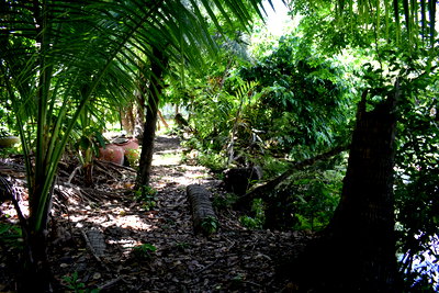 เช่าที่ดิน ถนนจรัญสนิทวงศ์ : ที่ดินสวนตลิ่งชัน ติดคลองบางขุนศรี สนใจสอบถามได้