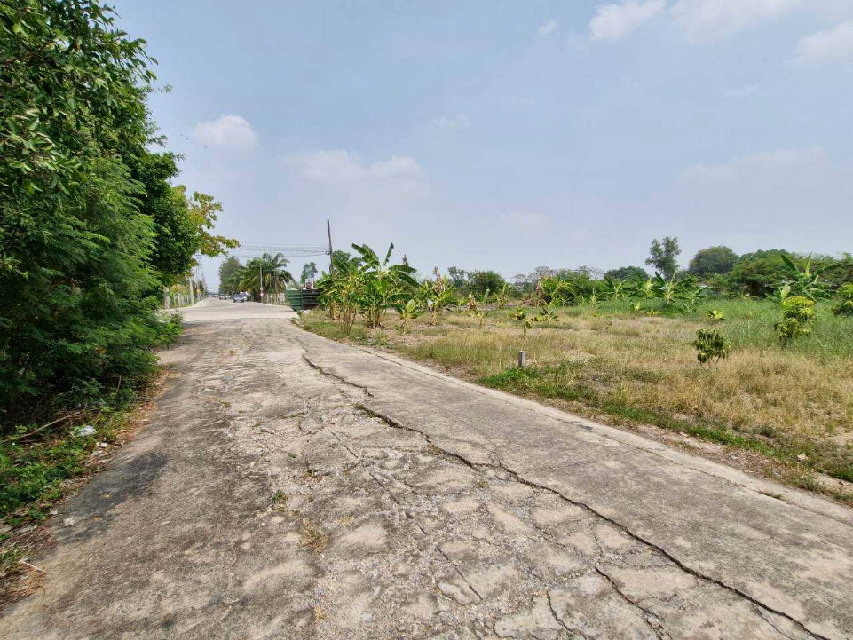 รูป ที่ดินเปล่า 220 ตร.ว. ทำเลค้าขาย ถนนเมนต้นโครงการ เคซี.การ์เด้นโฮม นิมิตใหม่ ซ.40 เขตคลองสามวา - รูปที่ 11/14