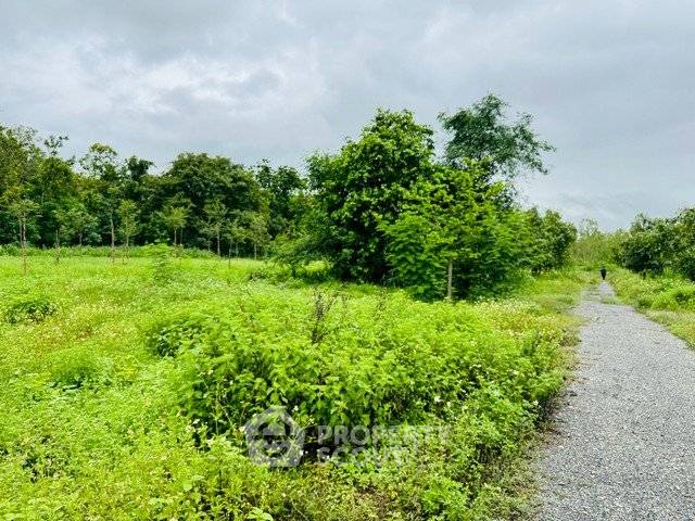 picture Land For Sale 1,740 Sqm Doi Lo, Chiang Mai (ID 2790277) - 4/4