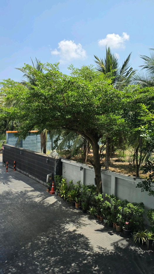 รูป 🔥ด่วน ห้องไปไวมากกก Code: 26KJ1797 ให้เช่า D5 Condominium ✅ Add Line @kjcondo (มี@ข้างหน้าด้วยนะคะ) - รูปที่ 14/14