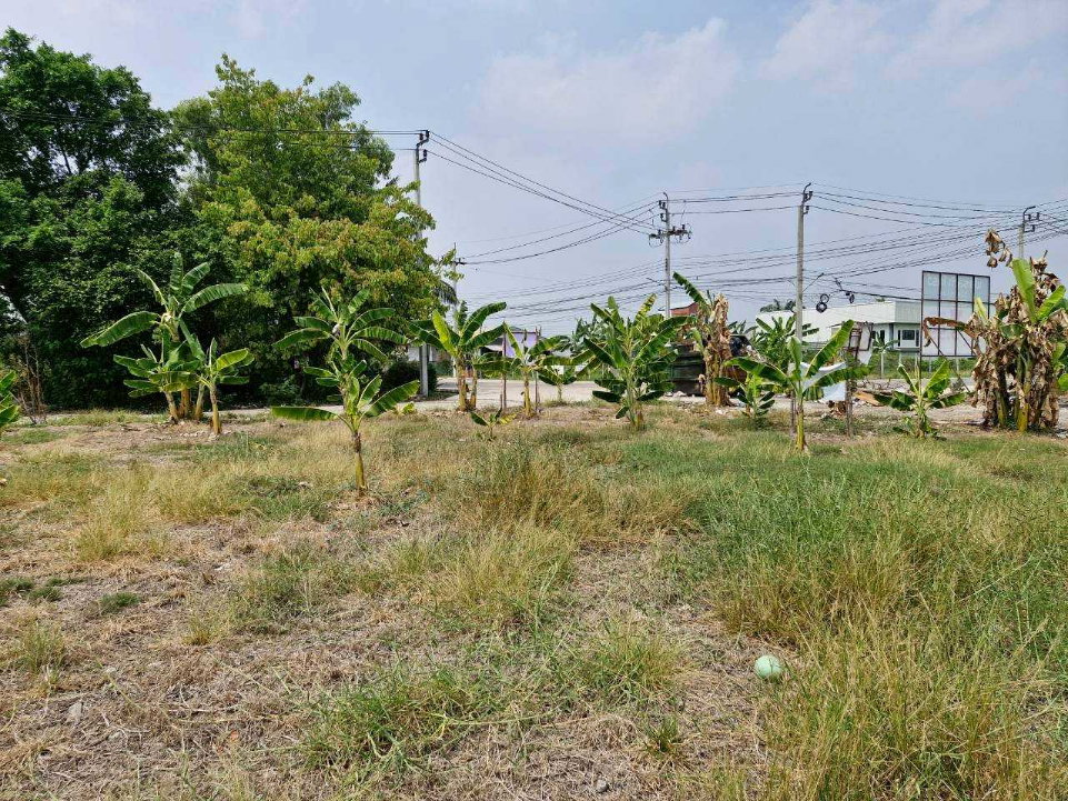 รูป ที่ดินเปล่า 220 ตร.ว. ทำเลค้าขาย ถนนเมนต้นโครงการ เคซี.การ์เด้นโฮม นิมิตใหม่ ซ.40 เขตคลองสามวา - รูปที่ 12/14