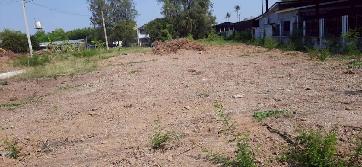 รูป ที่ดินเปล่าติดถนนทางหลวง375 ขนาด200ตรว. ให้เช่า - รูปที่ 2/2