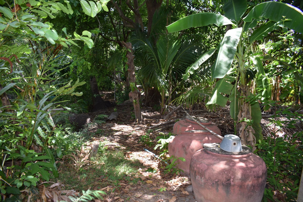 รูป ที่ดินสวนตลิ่งชัน ติดคลองบางขุนศรี สนใจสอบถามได้ - รูปที่ 4/6