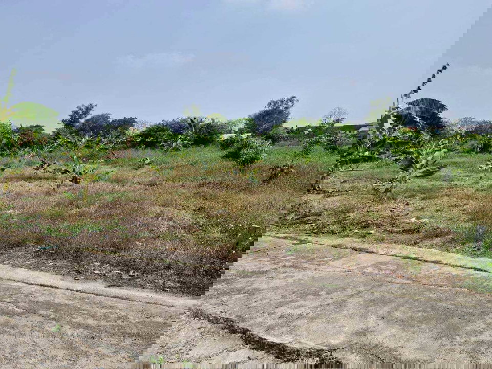 รูป ที่ดินเปล่า 220 ตร.ว. ทำเลค้าขาย ถนนเมนต้นโครงการ เคซี.การ์เด้นโฮม นิมิตใหม่ ซ.40 เขตคลองสามวา - รูปที่ 10/14
