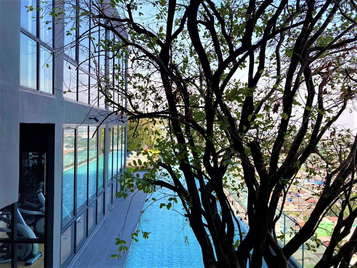 picture For Rent : The Base Phetkasem (2bed) 44.87 sq.m. 20,000 THB Tel. 0924235675 Cate - 2/10