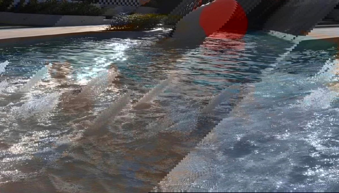 picture Modiz Ratchada 32 for rent ✨ Fully furnished - 8/8