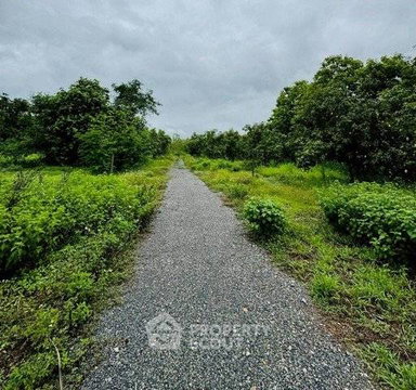 1,740 Sqm Land For Sale In Doi Lo, Doi Lo, Chiang Mai (ID 2790274)