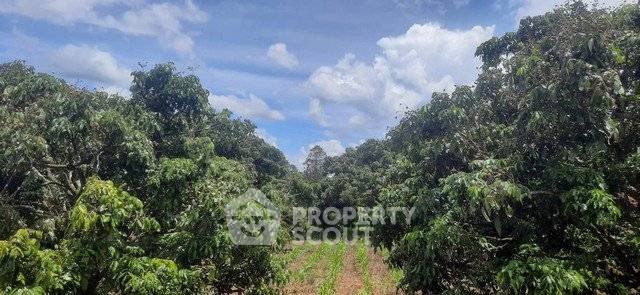รูป ขายที่ดิน 3,887 ตร.ม. แม่ว่าน พร้าว เชียงใหม่ (ID 2790304) - รูปที่ 5/5