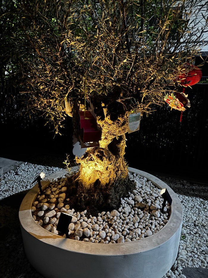 picture VIVALDI Bangna 4 bedrooms, for rent - 28/58