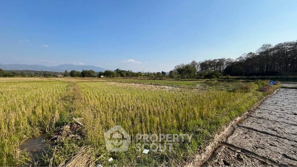 รูป ที่ดินสำหรับปล่อยขาย 13,948 ตารางเมตร แถว ใน เชียงดาว (ID 2800731) - รูปที่ 2/3