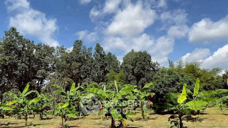 รูป ที่ดินสำหรับปล่อยขาย 18,760 ตารางเมตร แถว ใกล้ แกรนด์แคนยอนเชียงใหม่ (ID 2803174) - รูปที่ 4/4