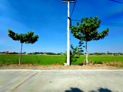 ที่ดิน ม.เวสเทิร์น  : ที่ดิน 2 ไร่ ติดถนนซอยหลังไปรษณีย์ลำลูกกา เข้าออกได้หลายทาง