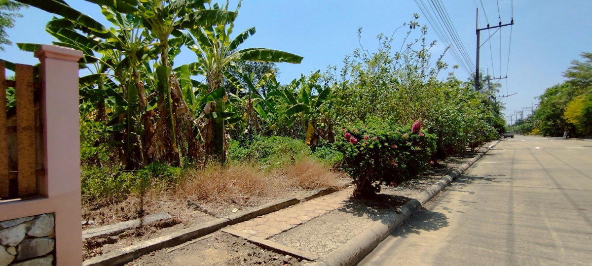 รูป ขายที่ดินเปล่า 209 ตารางวา หมู่บ้านกฤษดานคร27 มารีน่า ที่ถมแล้ว ใกล้เซ็นทรัลศาลายา - รูปที่ 7/9