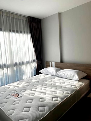 คอนโดให้เช่า : ให้เช่า พลัม คอนโด สุขุมวิท 97.1 มีเฟอร์นิเจอร์+เครื่องใช้ไฟฟ้าครบ