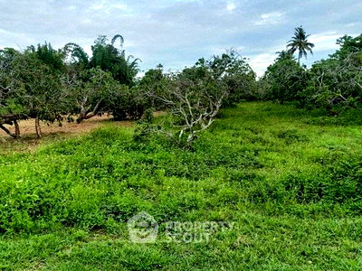 ขายที่ดิน : ที่ดินสำหรับปล่อยขาย 1,716 ตารางเมตร แถว ใน ยางเนิ้ง (ID 2759096)