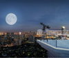 listing thumbnail image 13