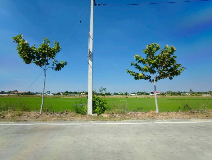 รูป ที่ดิน 2 ไร่ ติดถนนซอยหลังไปรษณีย์ลำลูกกา เข้าออกได้หลายทาง - รูปที่ 2/5