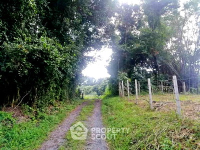 ขายที่ดิน : ที่ดินสำหรับปล่อยขาย 48,000 ตารางเมตร แถว ใน ป่าป้อง (ID 2801437)