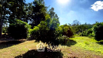 ขายที่ดิน : ที่ดินสำหรับปล่อยขาย 18,760 ตารางเมตร แถว ใกล้ แกรนด์แคนยอนเชียงใหม่ (ID 2803174)