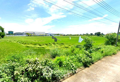 ขายที่ดิน : ที่ดินสำหรับปล่อยขาย 53,516 ตารางเมตร แถว ใน บางเสาธง (ID 2727429)