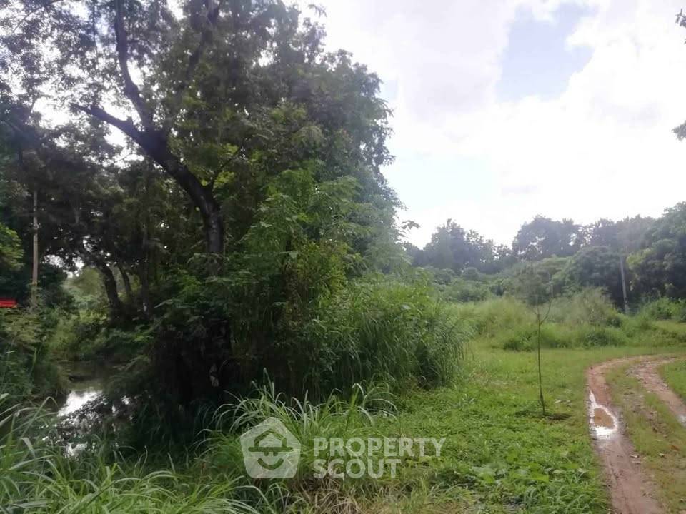 รูป ที่ดินสำหรับปล่อยขาย 48,000 ตารางเมตร แถว ใน ป่าป้อง (ID 2801437) - รูปที่ 5/6