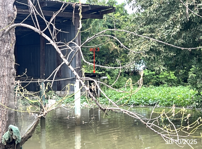 picture HOME 202 Sq.w. Chumsaeng Nakhon Sawan for 873,000 - 3/12
