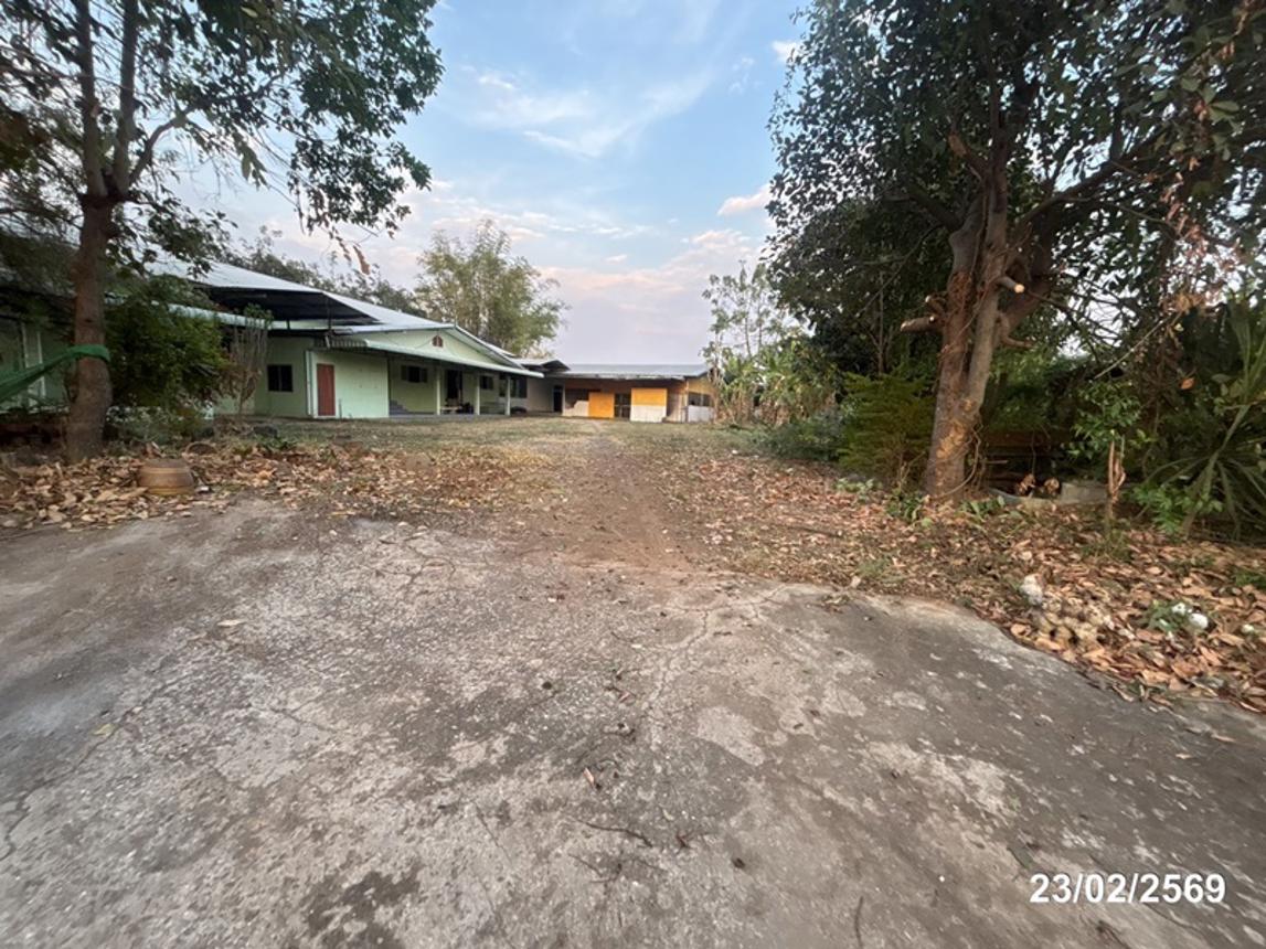 รูป บ้านเดี่ยว 493 ตร.วา ปักธงชัย นครราชสีมา 4.3M - รูปที่ 55/60
